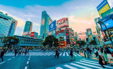 盘点日本最值得逛的十家折扣店和超市，省钱好活儿