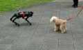 日本教授和机器狗的赛博朋克日常