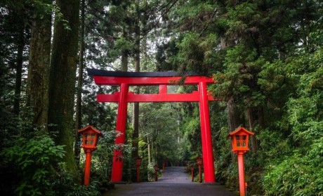 从鸟居看日本的神社文化——一步神域，一步人间