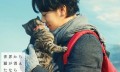 日本人和猫有何渊源，为什么那么喜欢猫？