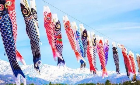 五月五是日本男孩儿童节，有室内摆人偶，室外放鲤鱼旗的传统