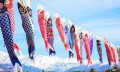 五月五是日本男孩儿童节，有室内摆人偶，室外放鲤鱼旗的传统