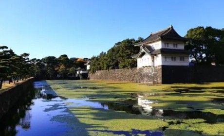 日本一男子游过护城河私闯皇宫……案发时天皇正在插秧