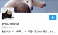 日本网友关于小动物的冷知识小课堂，可爱到炸裂