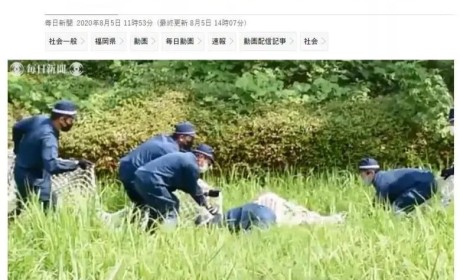 日本警察捕捉野猪登上日推热搜，画面喜感让人笑出猪叫