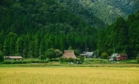 有一种美称得上美出天际！那就是日本的农村